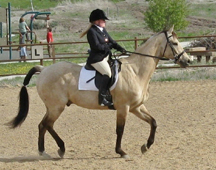 ind-adult-equestrian